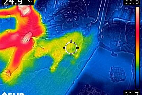 Energieberatung Däumich | Thermografie